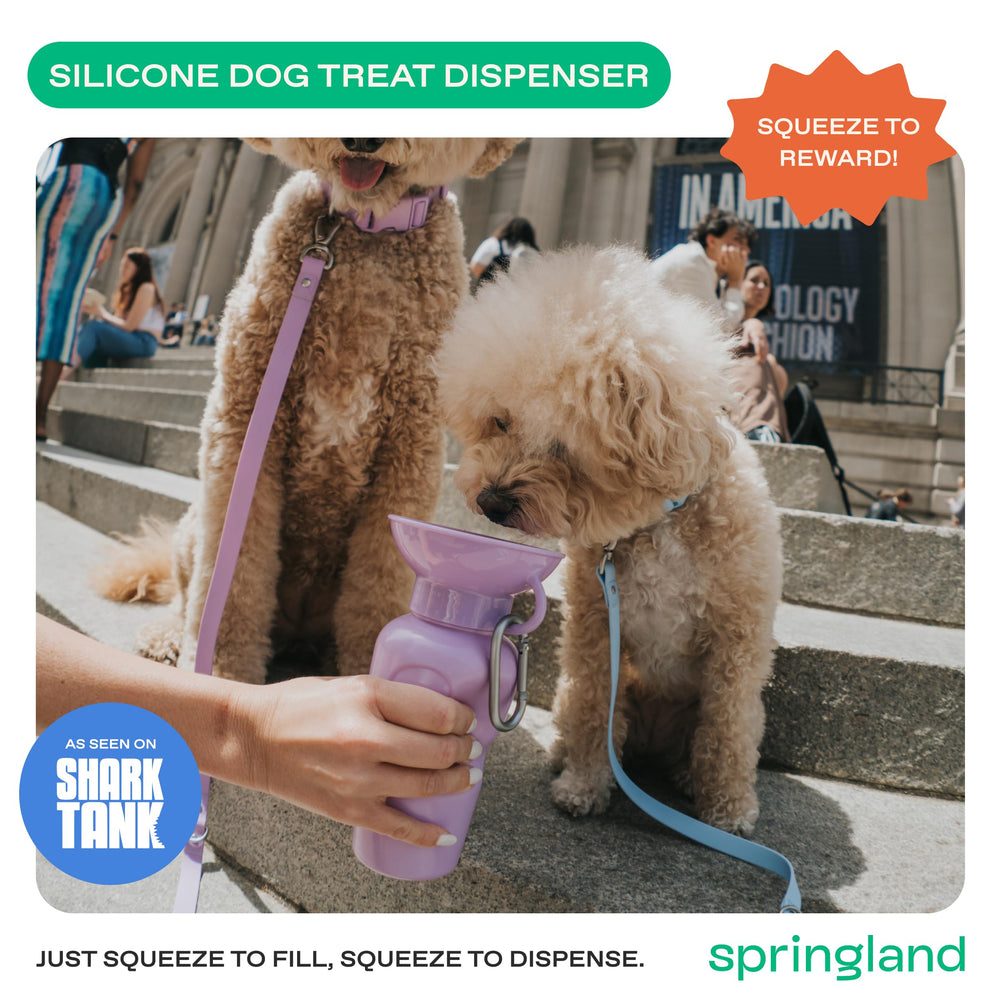 Springer dog water bottle leak-tight valve close-up for mess-free travel.