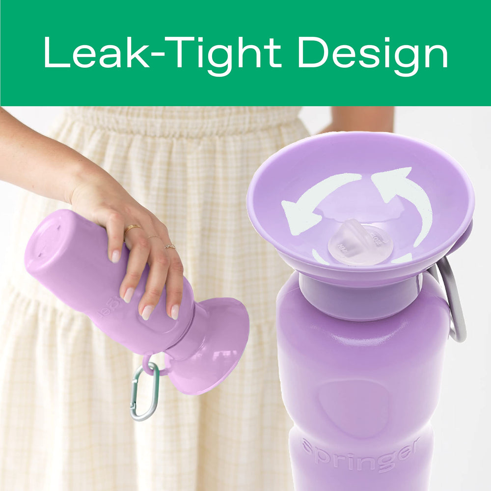 Springer bottle supports outdoor walking and hiking hydration on trails.