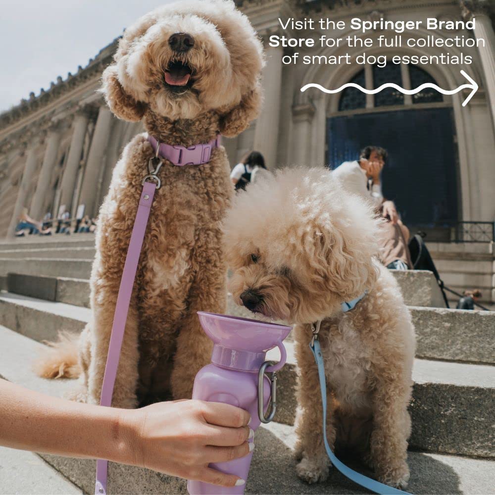 Springer portable-bowl-on-demand lets thirsty pups drink instantly during travel.