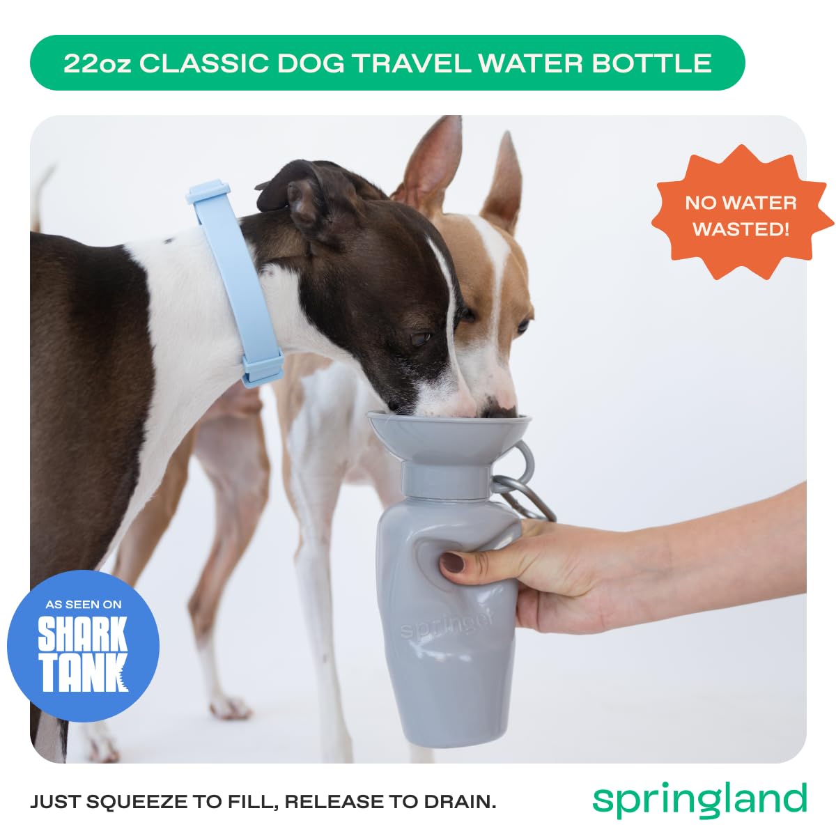 Springer water bottle being squeezed to fill the bowl.