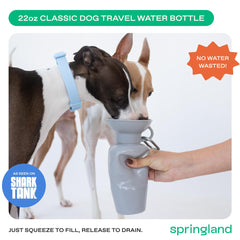 Springer water bottle being squeezed to fill the bowl.