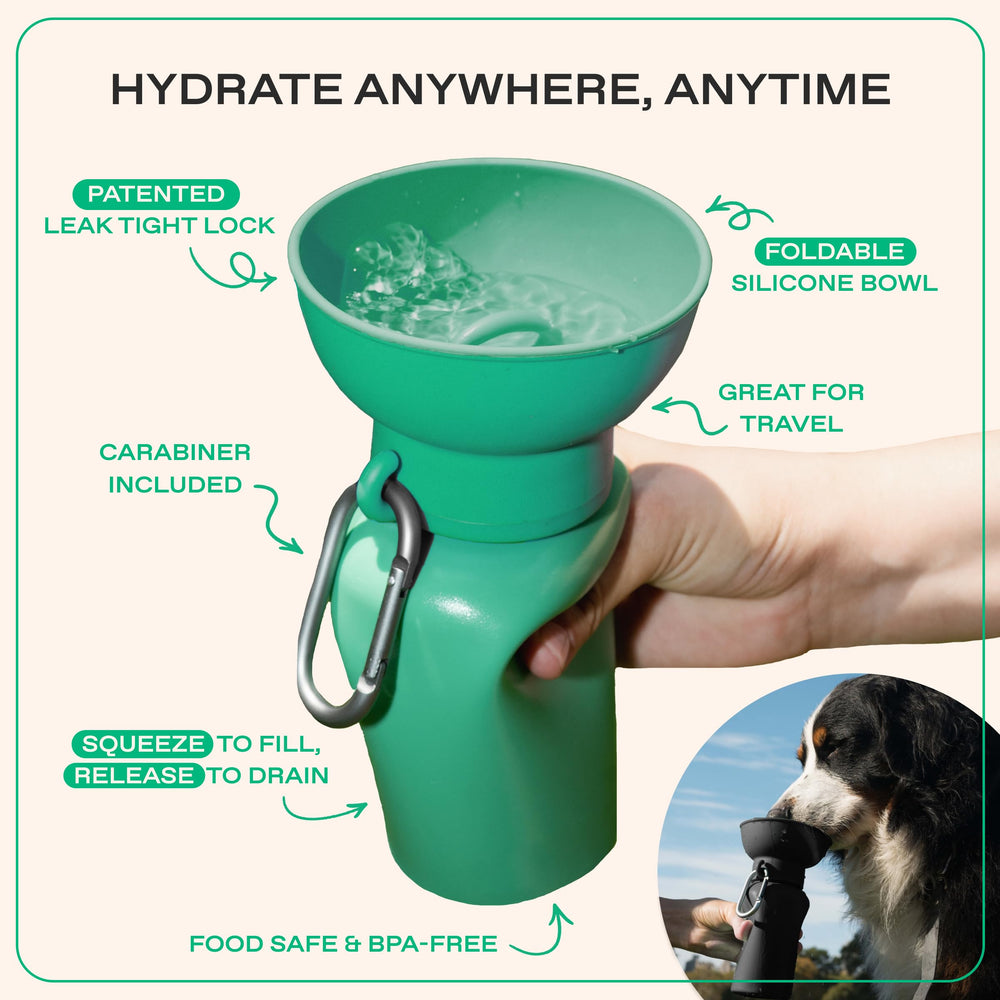 BPA-free materials used in Springer Bottle with foldable bowl.