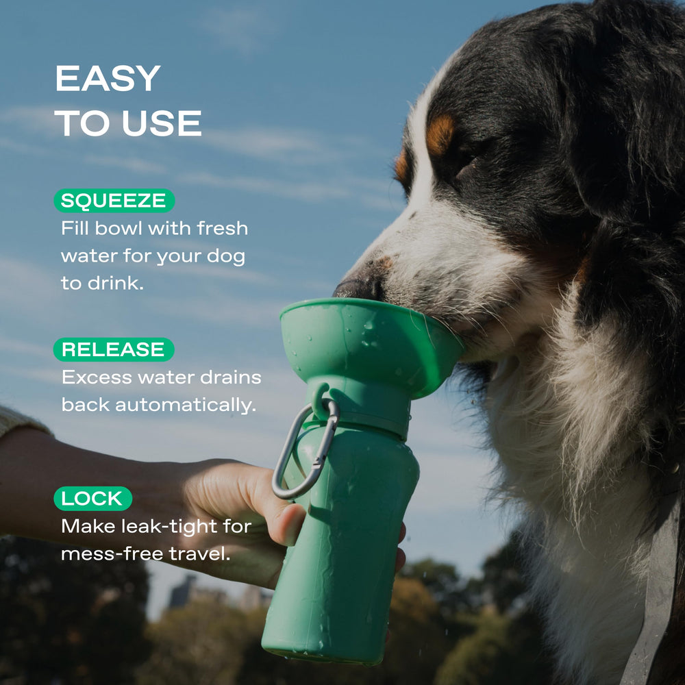 Springer Flip Dog Water Bottle BPA-free: safe materials for pets