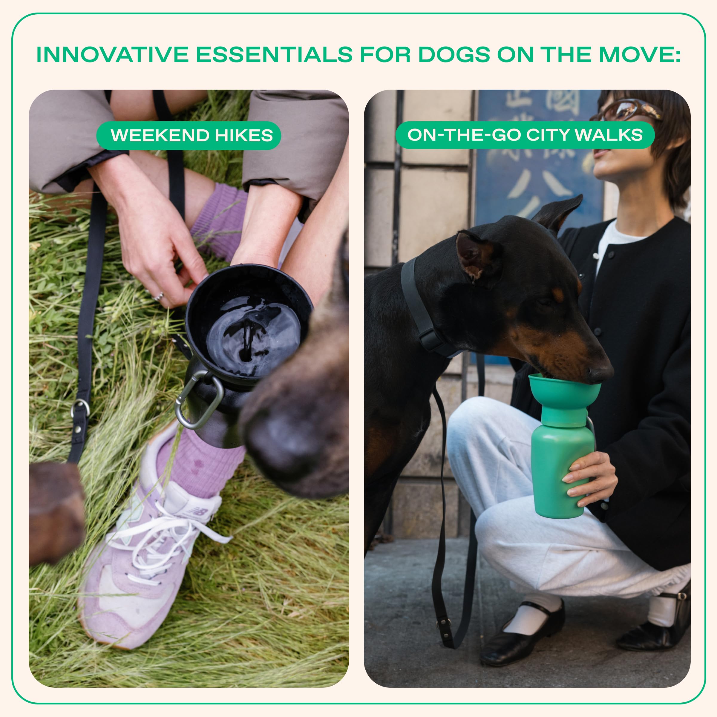 Springer Flip Dog Water Bottle compact-design: easy to carry in bag