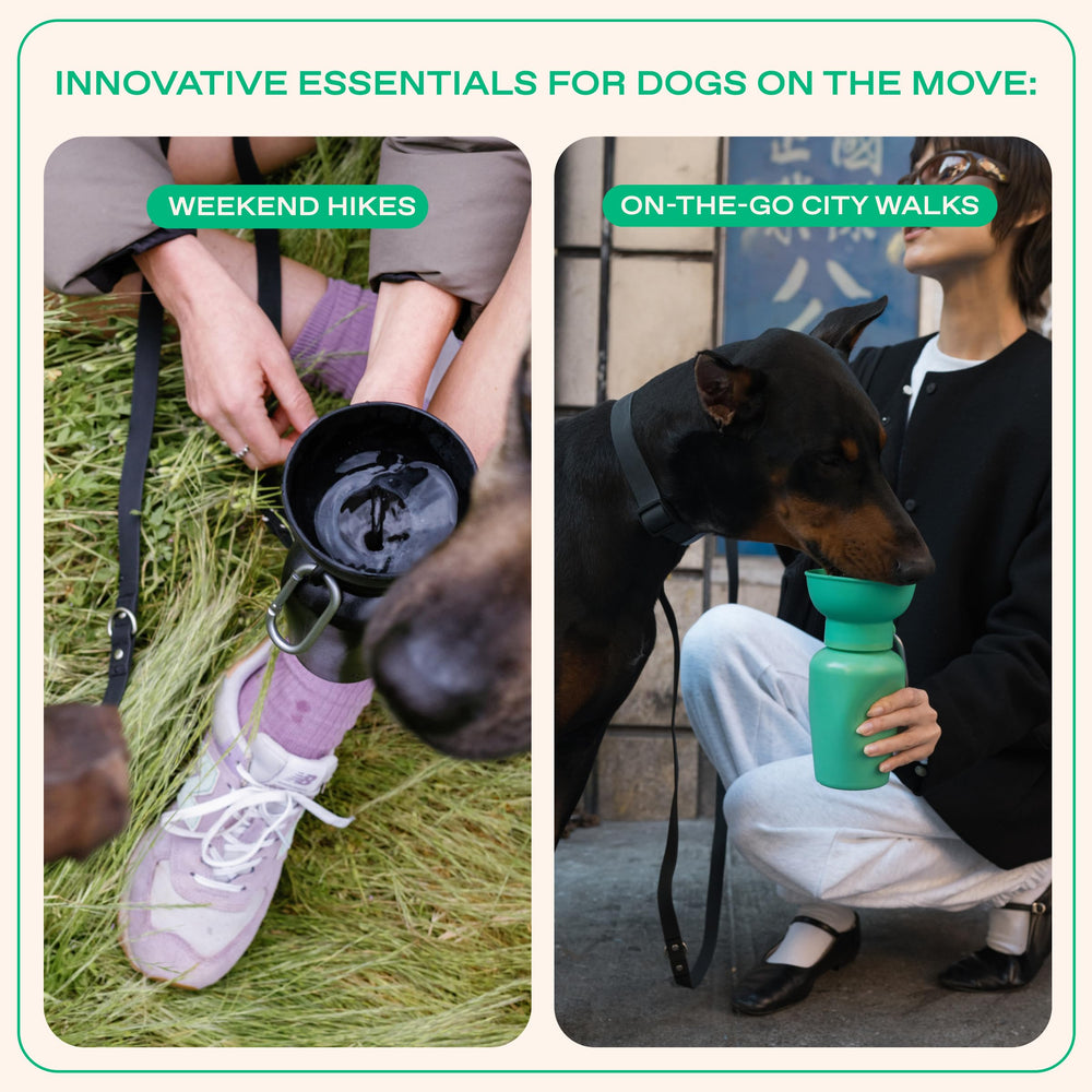 Springer Flip Dog Water Bottle compact-design: easy to carry in bag