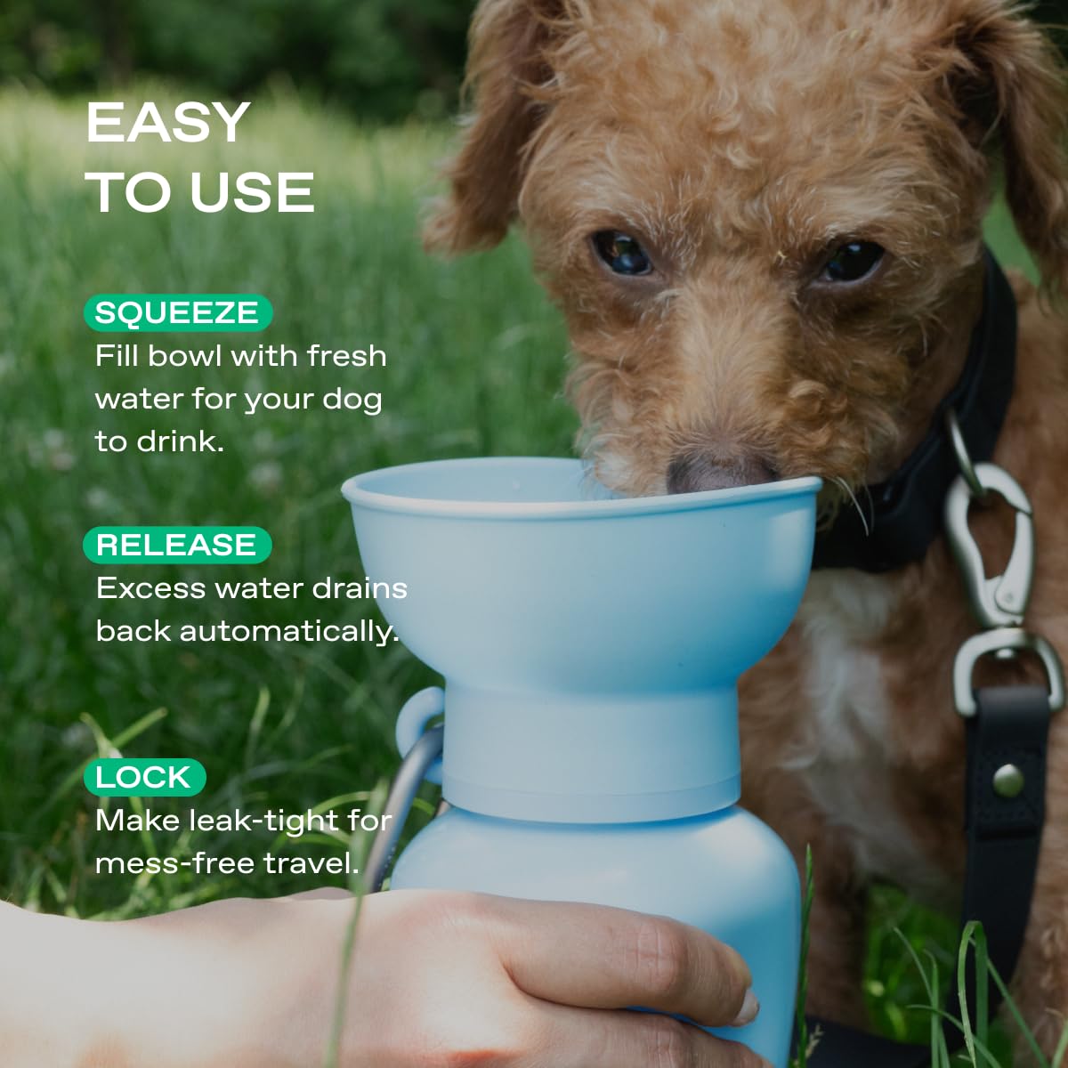Dog drinking from the foldable bowl during hiking