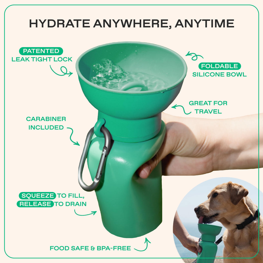Springer Flip Dog Water Bottle leak-proof: secure hydration during outdoor adventures