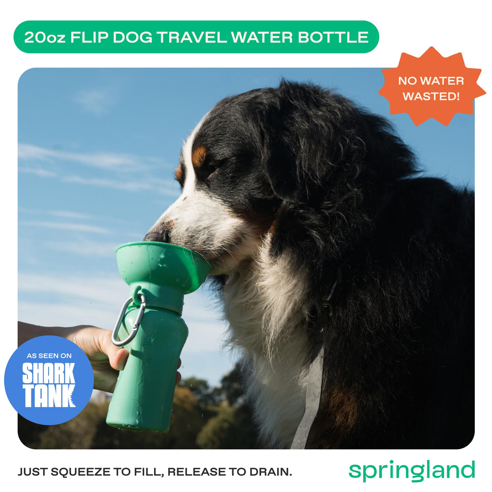 Springer Flip Dog Water Bottle one-hand-use: sip-water on long walks