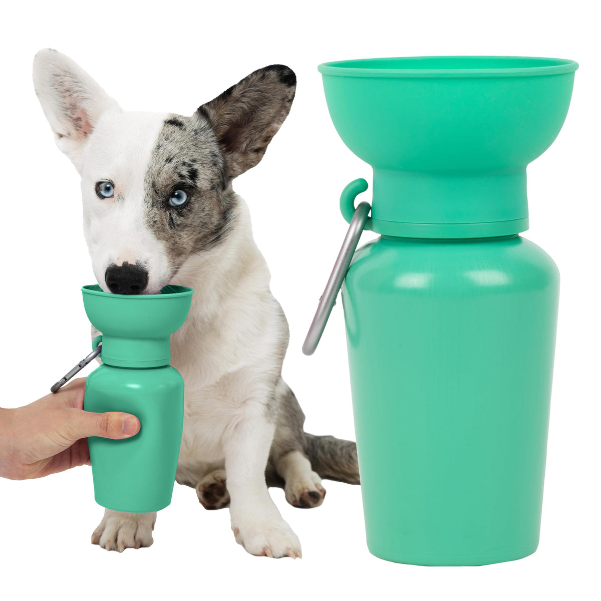Springer Flip Dog Water Bottle pour: easy hydration on the go for active dogs
