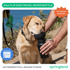 Springer Flip Dog Water Bottle offers one-hand squeeze for quick sips.