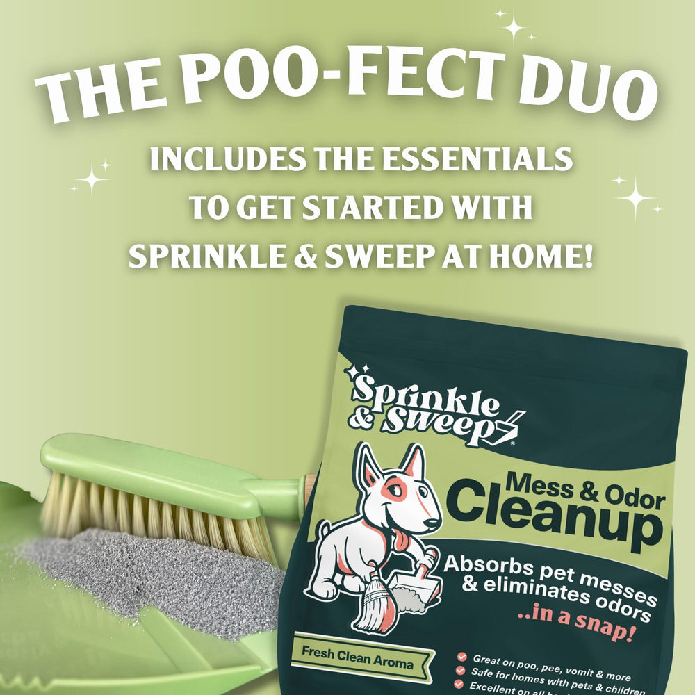 Sprinkle & Sweep dustpan and hand broom set for quick tidyups after accidents.