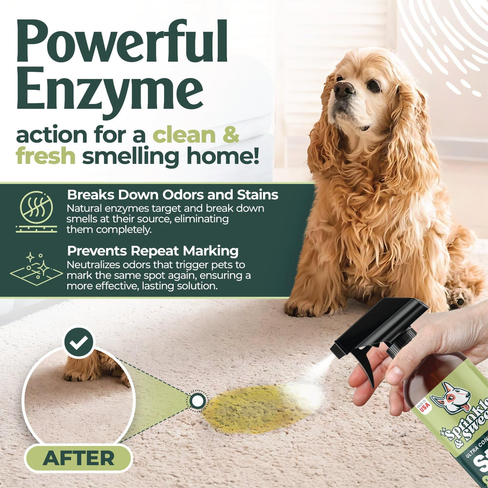 Sprinkle & Sweep enzymatic cleaner close-up breaking down stains.