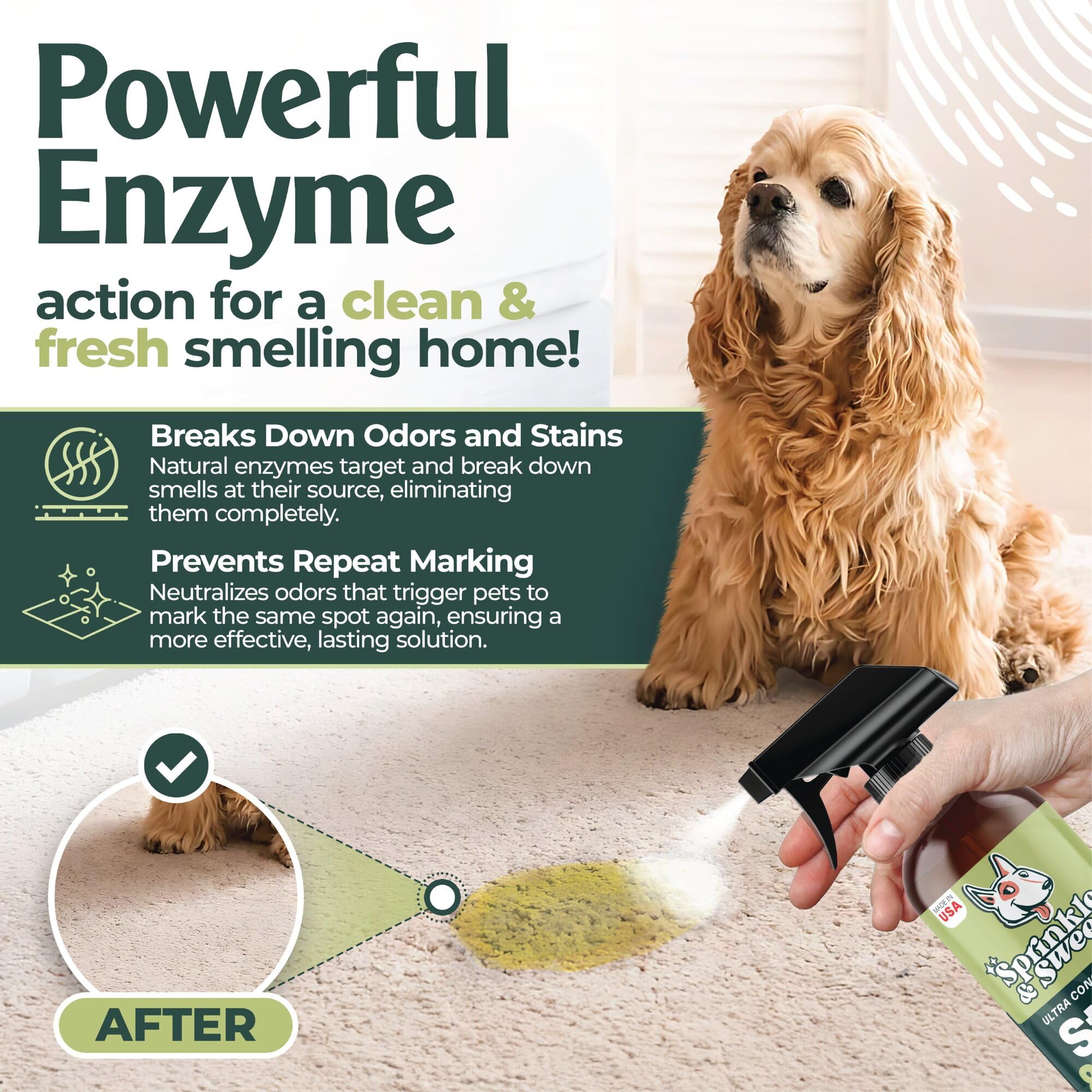 Sprinkle & Sweep spray-action shows enzymatic cleaning that tackles pet messes without scrubbing.