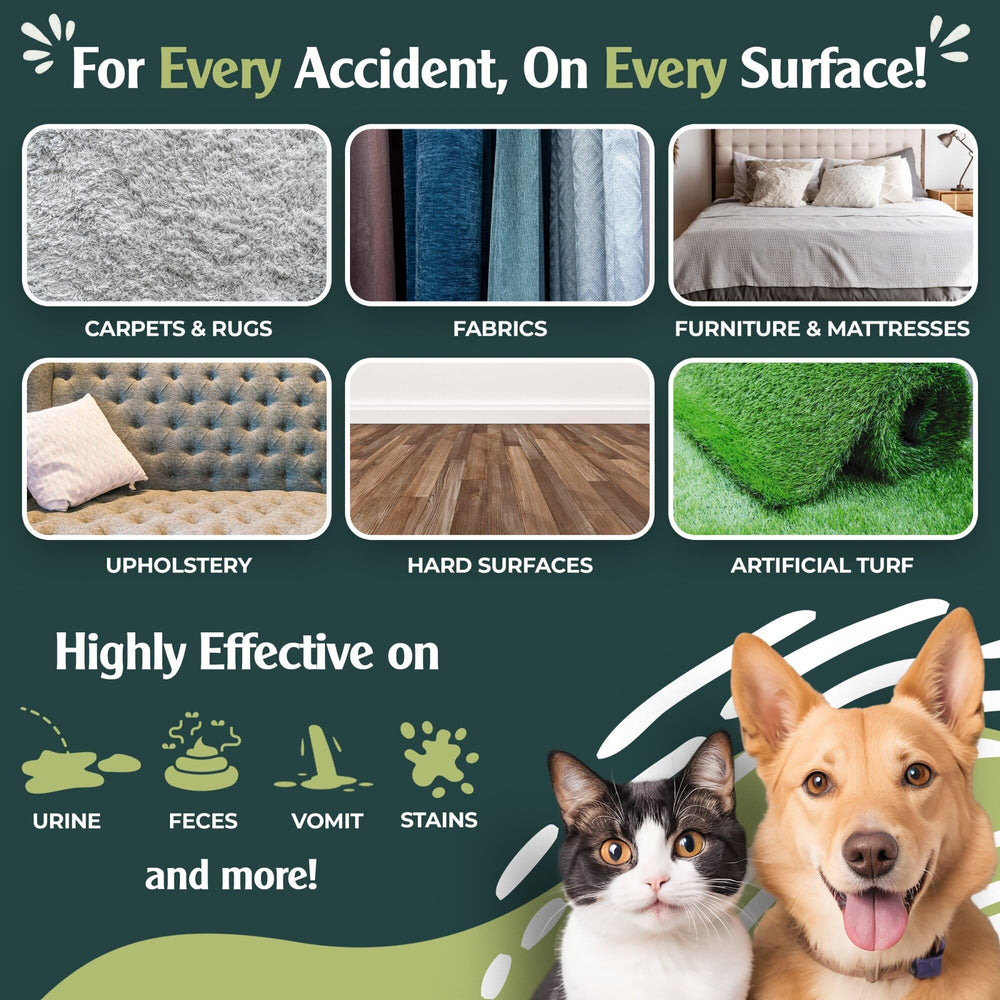 Applying on carpet for quick, residue-free stain removal.