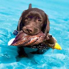 Spunky Pup Fly & Fetch Eagle uses ballistic fabric for durability.
