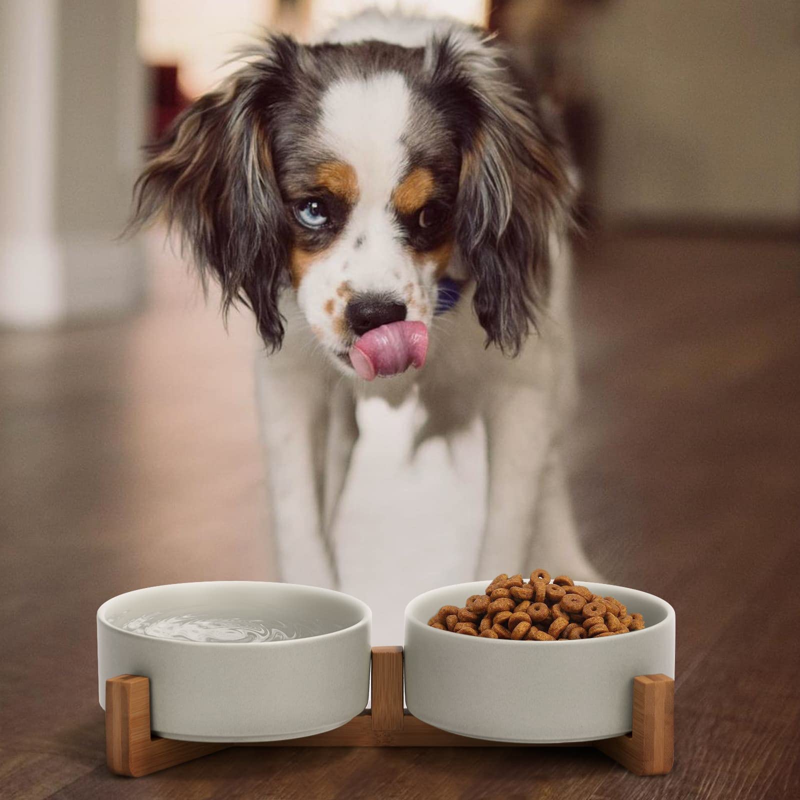 SPUNKYJUNKY double bowls elevating feeding for food and water within reach