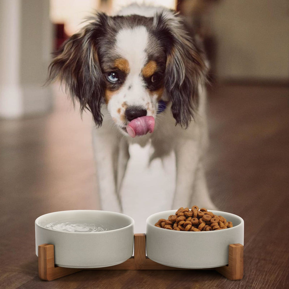 SPUNKYJUNKY double bowls elevating feeding for food and water within reach