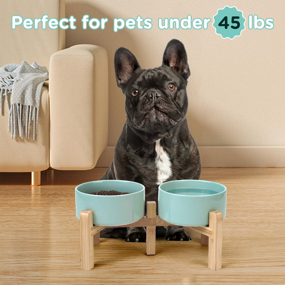SPUNKYJUNKY 28.7 oz capacity fits dry kibble and wet meals comfortably