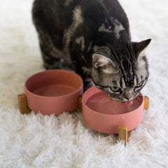 SPUNKYJUNKY double bowl design offers separate food and water for convenience.
