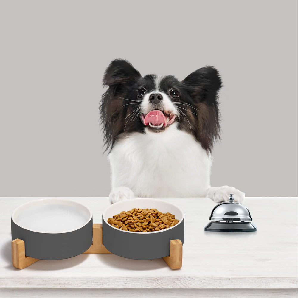 SPUNKYJUNKY double-bowl design keeps food and water organized for pets.