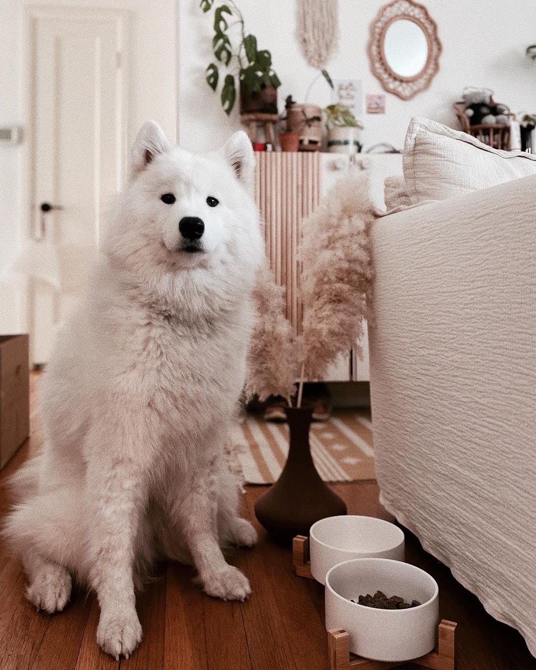 SPUNKYJUNKY double-bowl set on a wood stand keeps food and water organized