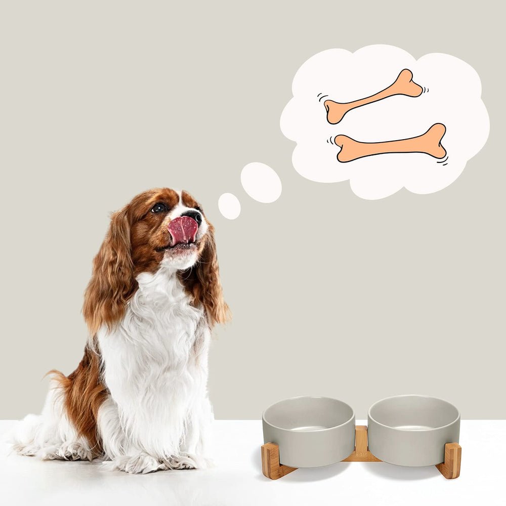 SPUNKYJUNKY easy-clean ceramic surface for daily use