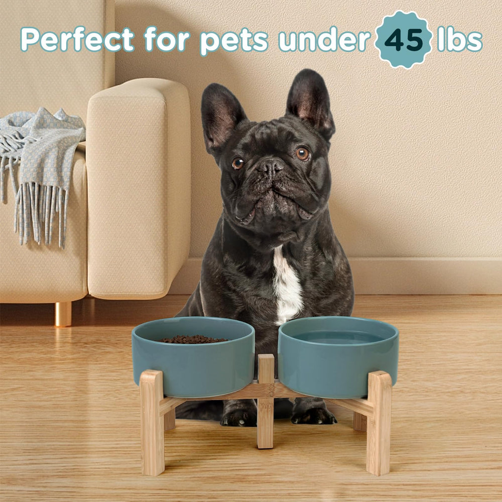 SPUNKYJUNKY four sizes accommodate small to large pets for meals.