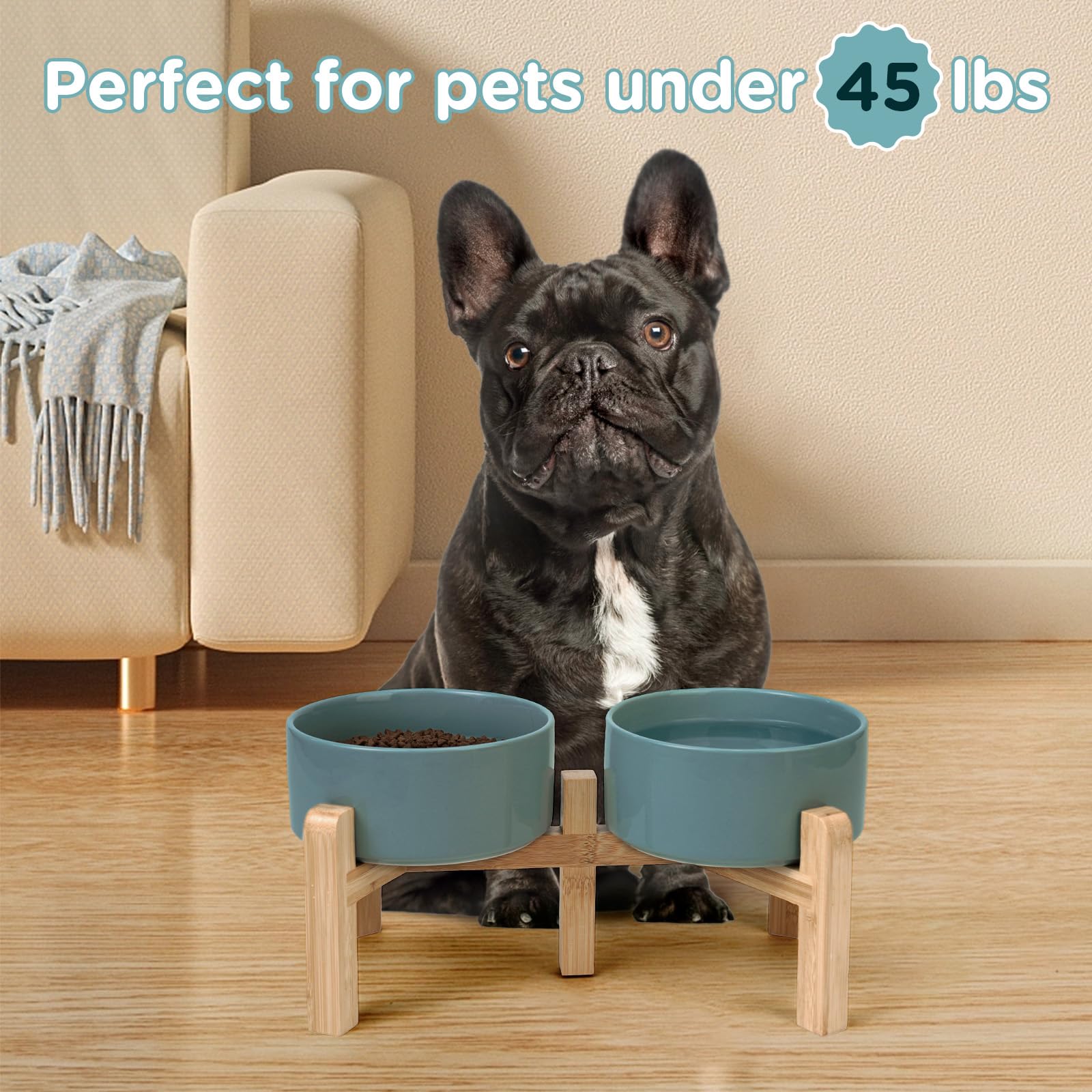 SPUNKYJUNKY four sizes accommodate small to large pets for meals.