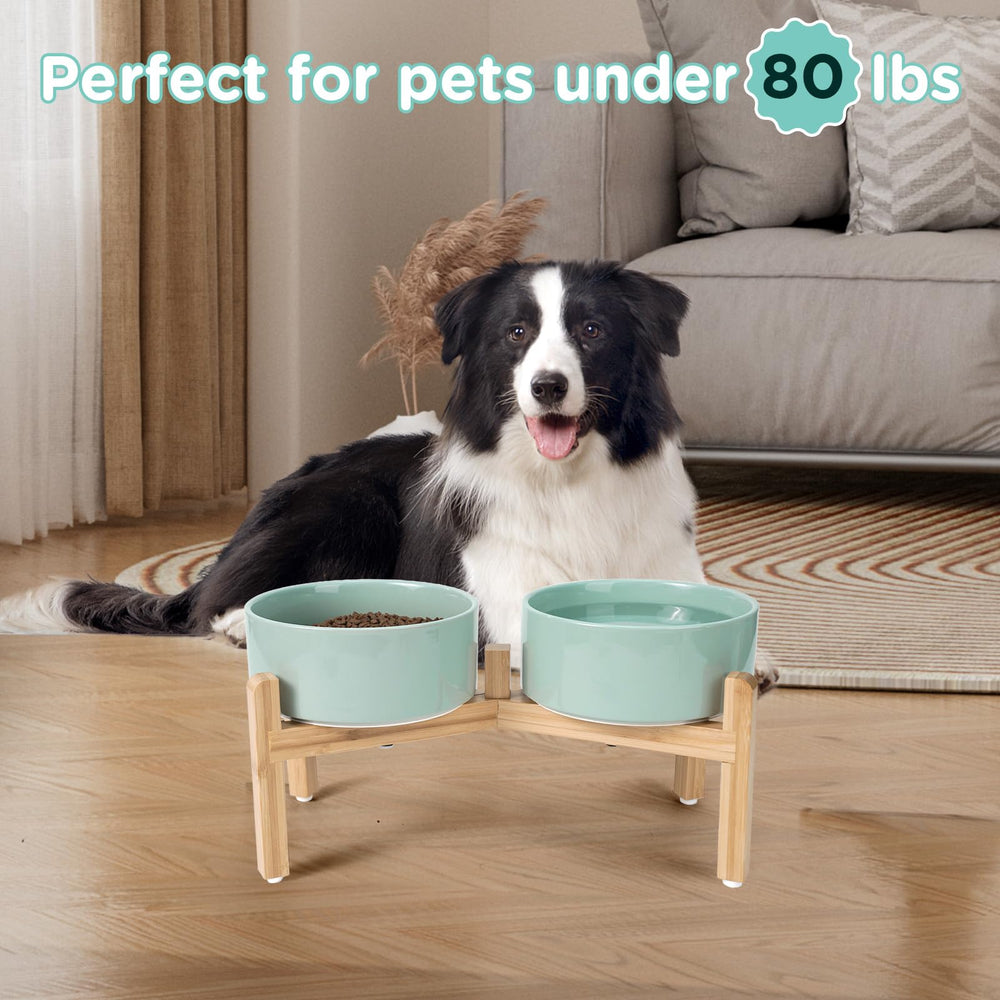 SPUNKYJUNKY four-size options fit kittens to large dogs for versatile meals.