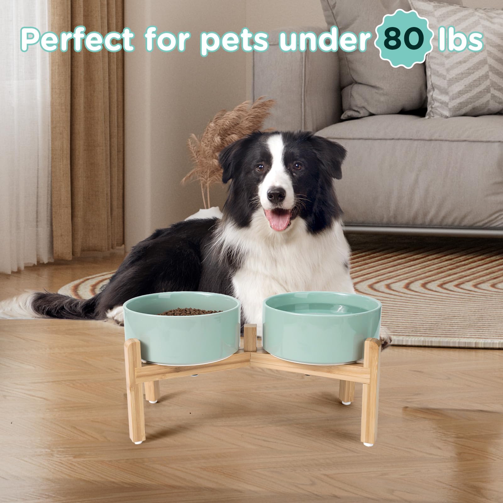 SPUNKYJUNKY four-size options fit kittens to large dogs for versatile meals.