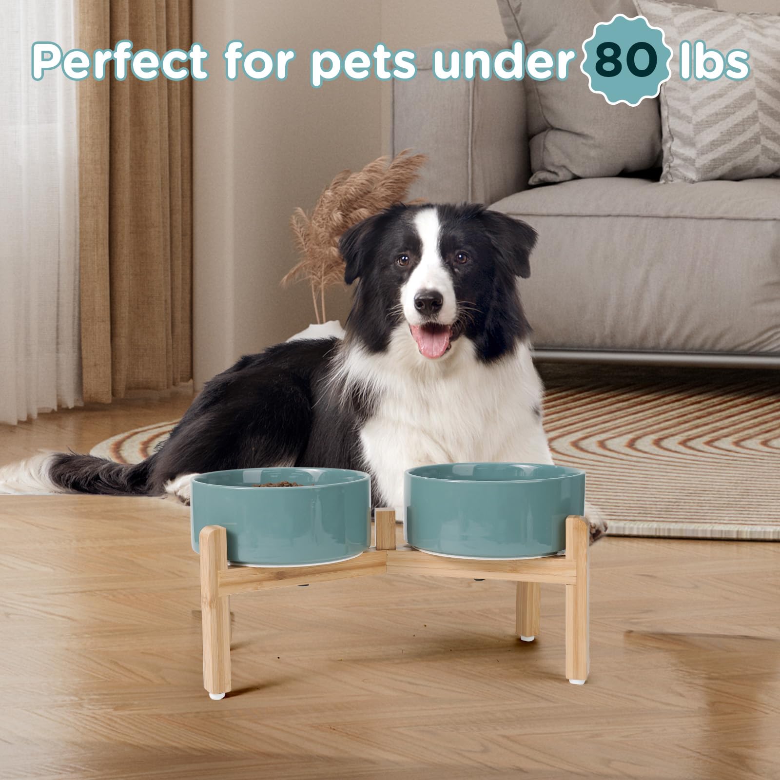 SPUNKYJUNKY four-size options fit from kittens to large dogs.