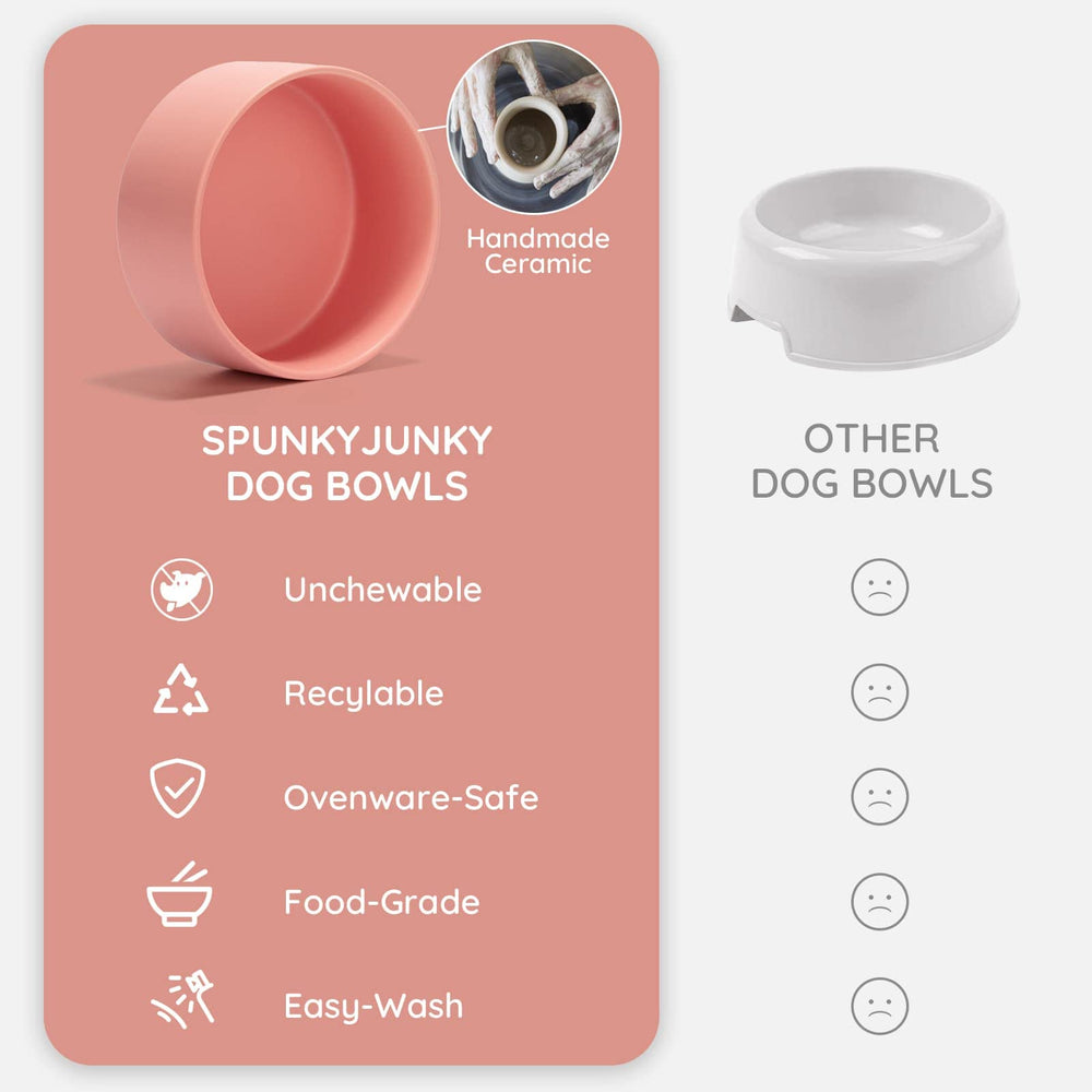 SPUNKYJUNKY kitten and small-dog friendly set for multiple pets.