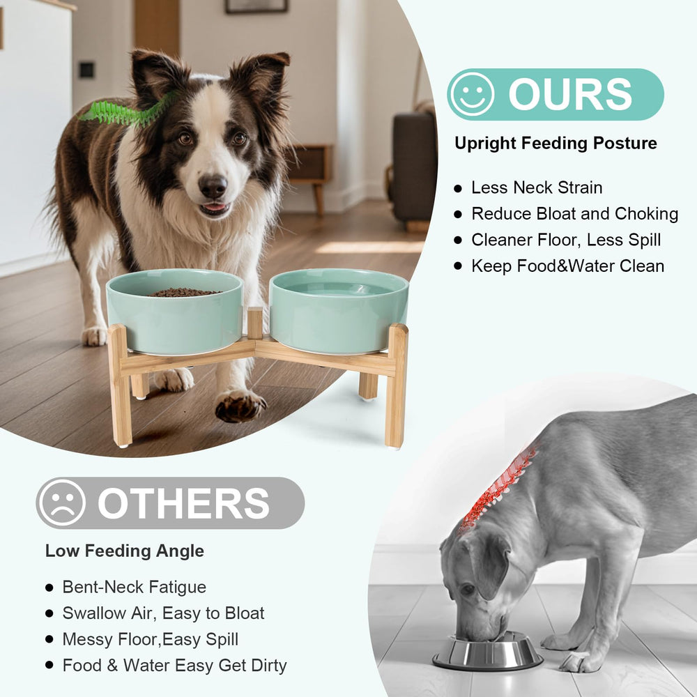 SPUNKYJUNKY lead-free ceramic 42 oz bowl supports safe feeding for medium to large dogs.