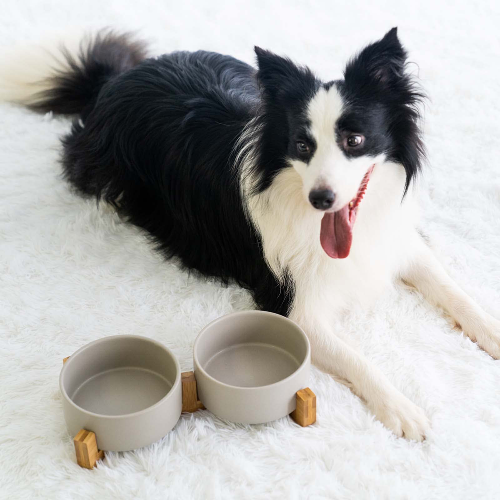 SPUNKYJUNKY non-slip base stabilizes bowls during feeding