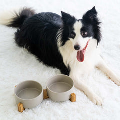 SPUNKYJUNKY non-slip base stabilizes bowls during feeding