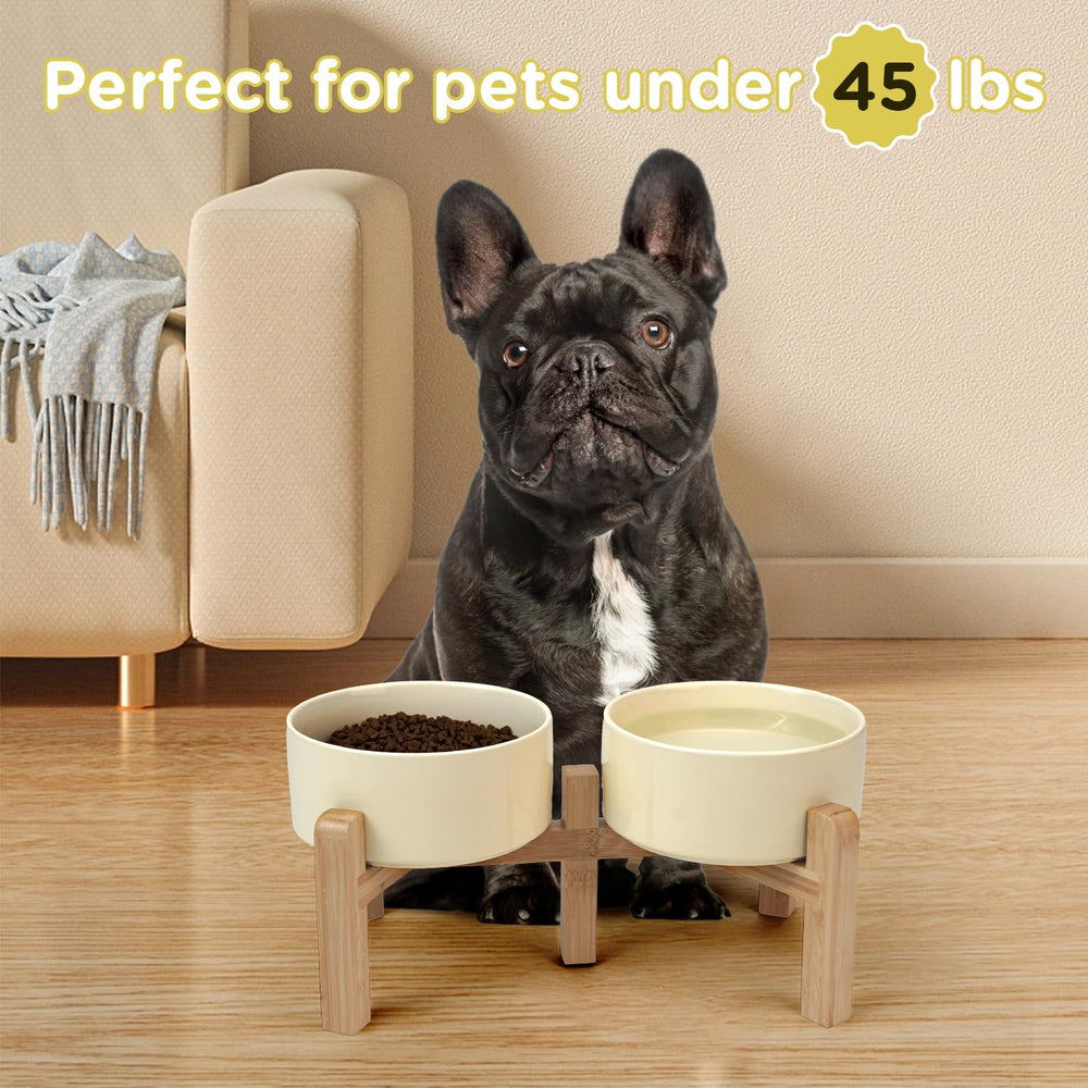 SPUNKYJUNKY pet dining setup for everyday meals