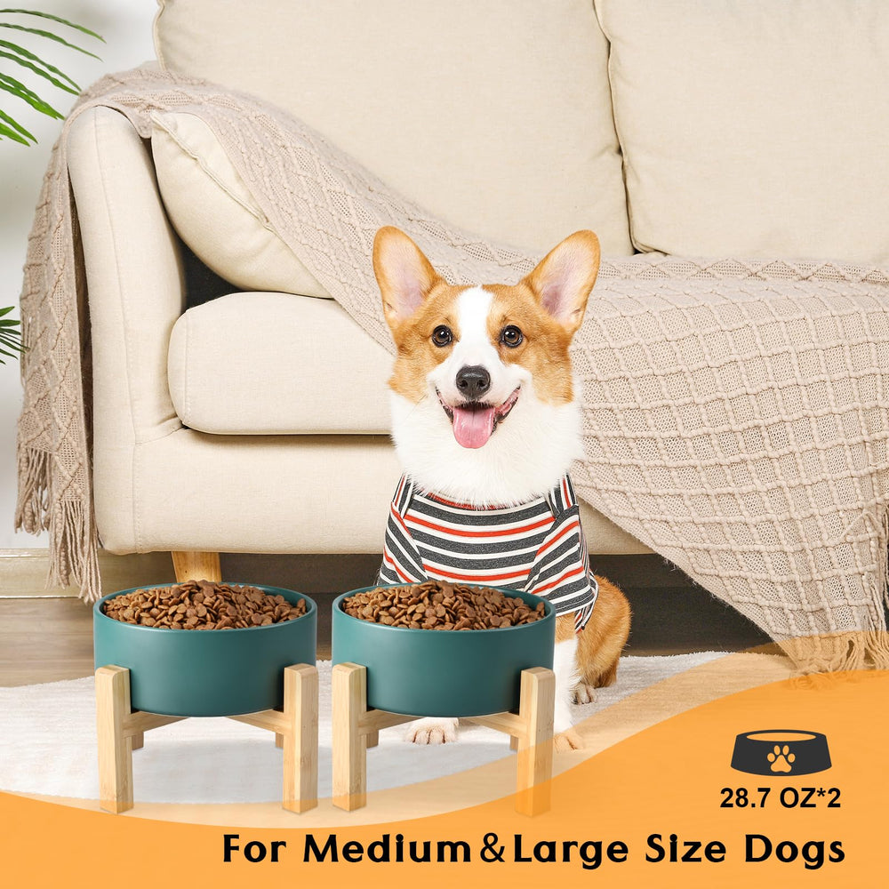 SPUNKYJUNKY suitable for medium dogs and a variety of diets