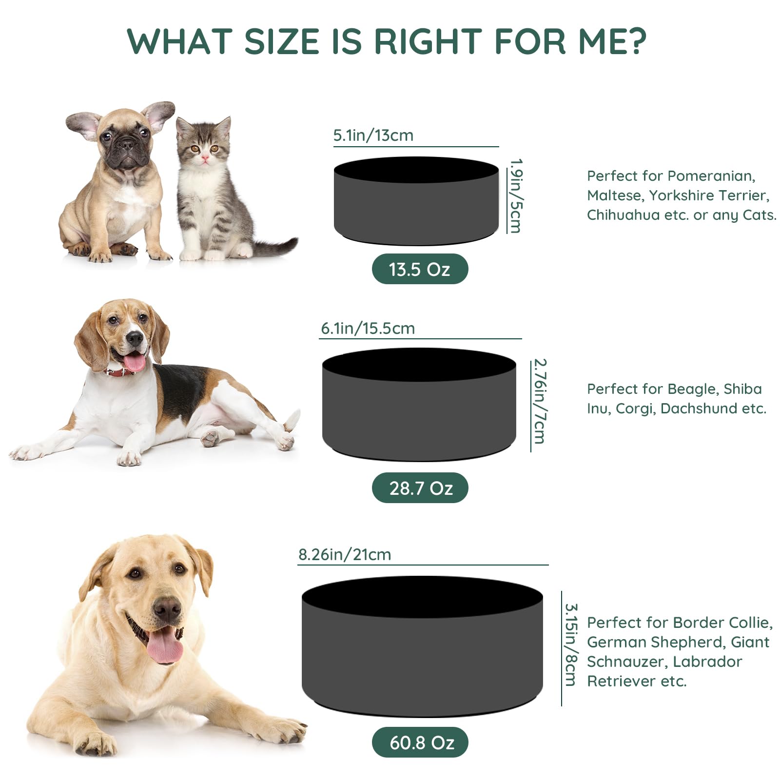 SPUNKYJUNKY bowl with weighted base for steady feeding.