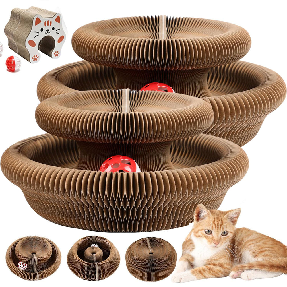 SpyxCam twisty paws tunnel in use for indoor cat play and stretch.