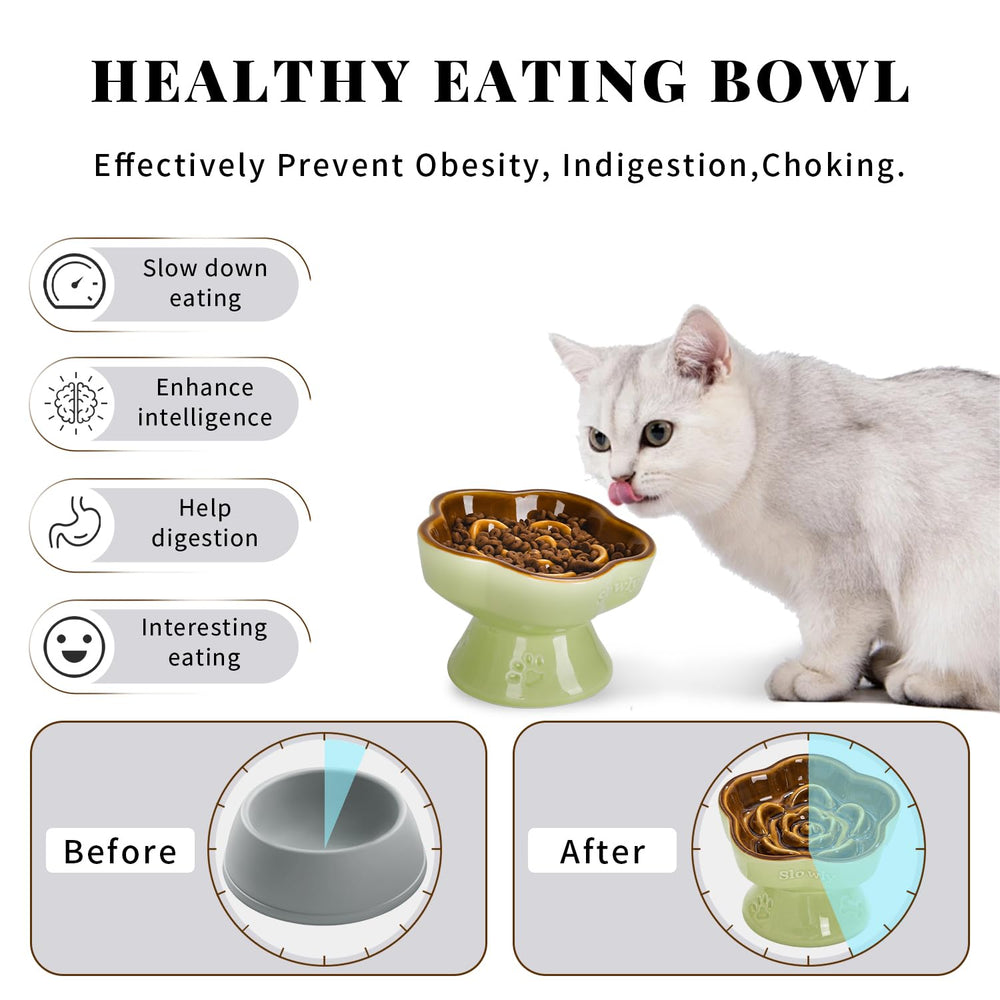 S&Q'S CERAMICS ceramic dish is durable and easy to clean for daily feeding.