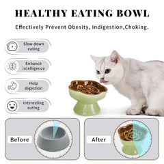S&Q'S CERAMICS ceramic dish is durable and easy to clean for daily feeding.