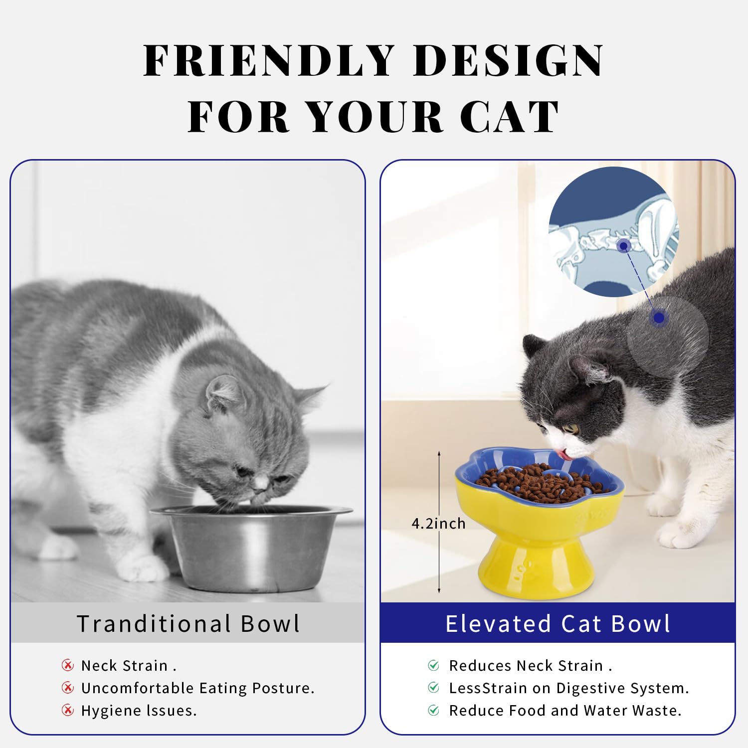 SQS Ceramics ceramic bowl is durable and easy to clean after meals.