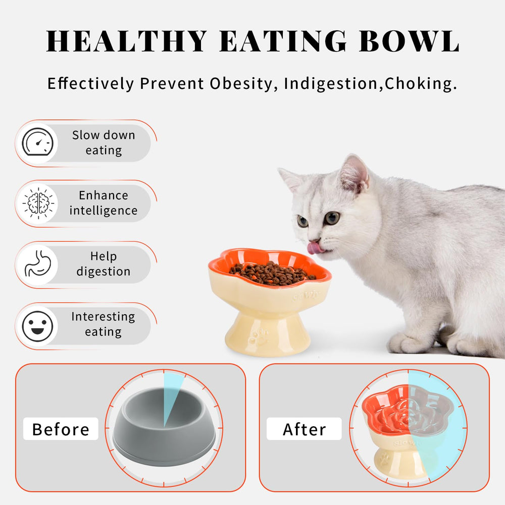 S&Q'S CERAMICS durable ceramic bowl with non-slip base reduces movement during feeding