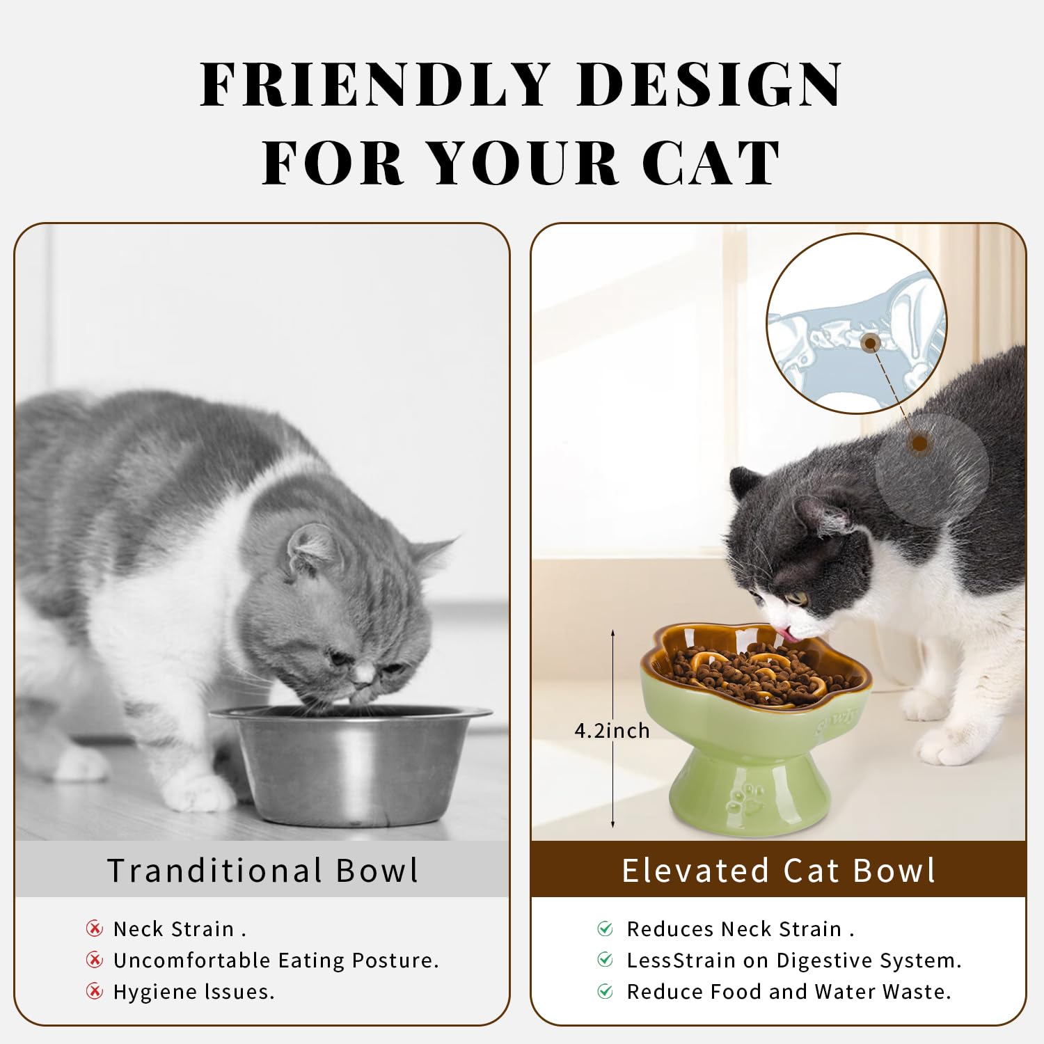 S&Q'S CERAMICS easy-clean ceramic bowl resists odors and staining.