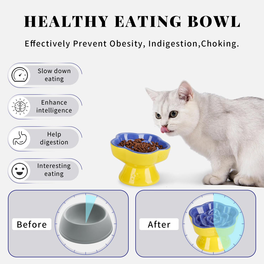 SQS Ceramics elevated tilt bowl supports comfortable neck posture during meals.