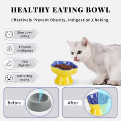 SQS Ceramics elevated tilt bowl supports comfortable neck posture during meals.