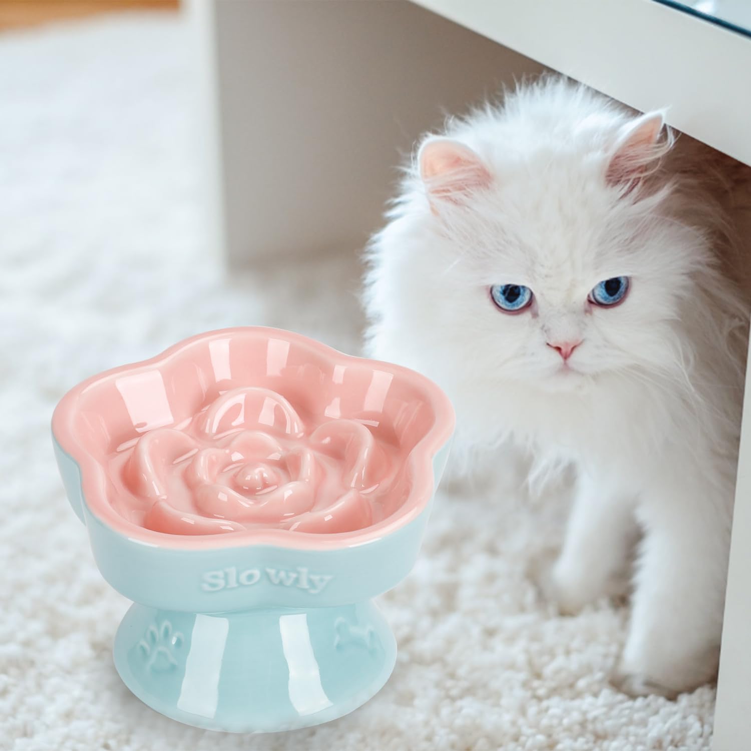 SQS Ceramics cat bowl supports dry or wet food for versatile feeding