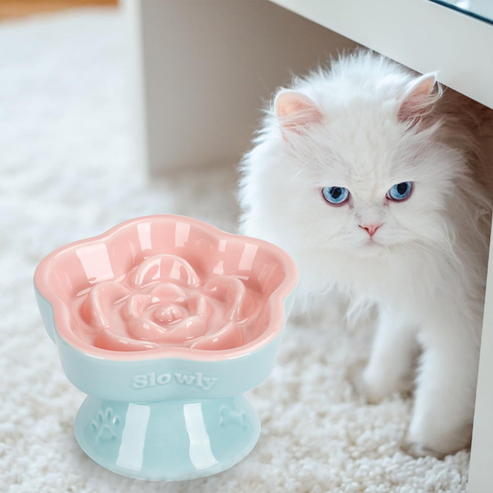 SQS Ceramics cat bowl supports dry or wet food for versatile feeding