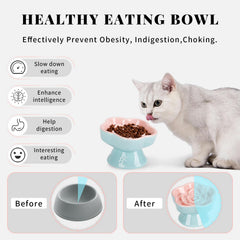 SQS Ceramics plum blossom design cat dish pink adds playful style at mealtime