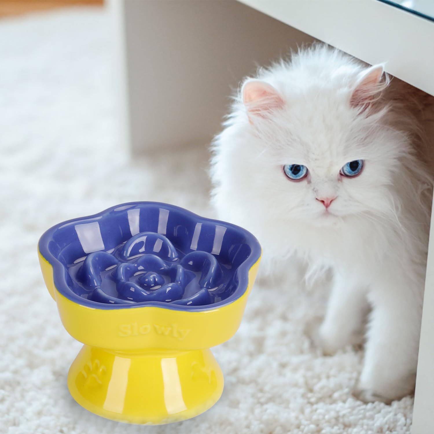 SQS Ceramics dishwasher safe bowl simplifies cleanup for wet and dry portions.